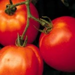 Wellness includes Healthy Eating ....