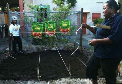 BodyMechanics.org - Community Garden project