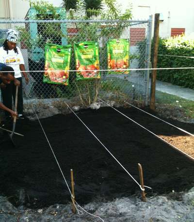 BodyMechanics.org - Community Garden project