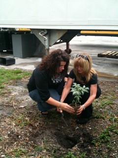 Bus Driver Wellness Community Garden Project
