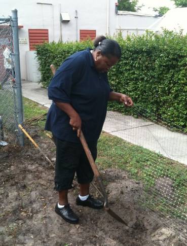Bus Driver Wellness Community Garden Project
