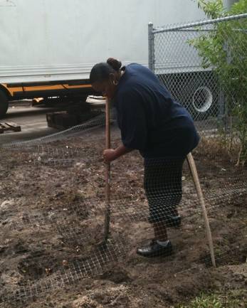 Bus Driver Wellness Community Garden Project