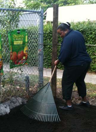 Bus Driver Wellness Community Garden Project