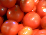 tomatoes